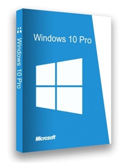 Windows 10 Pro 22H2 Build 19045.4170 (x64) En-US March 2024 [FTUApps] torrent